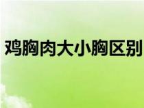 鸡胸肉大小胸区别（鸡大胸和鸡胸肉的差别）