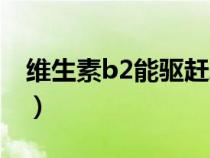 维生素b2能驱赶蚊子吗（维生素b2驱蚊方法）