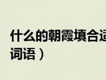 什么的朝霞填合适词语四个字（什么的朝霞填词语）