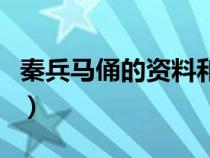秦兵马俑的资料和历史图片（秦兵马俑的资料）