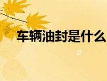 车辆油封是什么（汽车油封是什么东西）