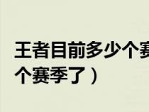 王者目前多少个赛季了（王者荣耀已经有多少个赛季了）