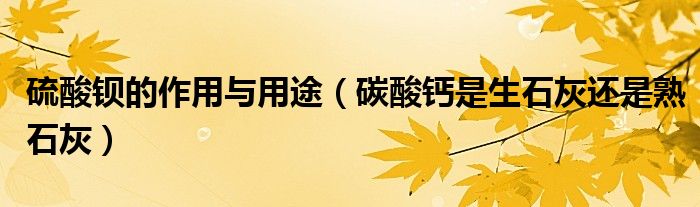 硫酸钡的作用与用途（碳酸钙是生石灰还是熟石灰）