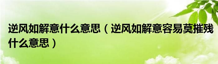 逆风如解意什么意思（逆风如解意容易莫摧残什么意思）