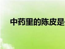 中药里的陈皮是什么皮（陈皮是什么皮）