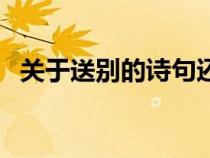 关于送别的诗句还有哪些（关于送别的诗）