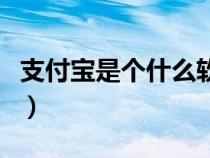 支付宝是个什么软件啊（支付宝是个什么软件）
