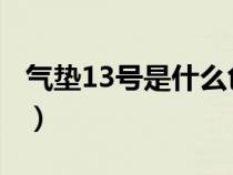 气垫13号是什么色（iope气垫13号和21区别）
