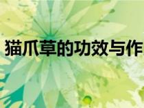 猫爪草的功效与作用（山慈菇的功效与作用）