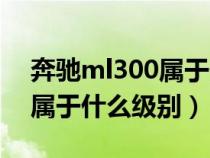 奔驰ml300属于什么级别的车（奔驰ml300属于什么级别）