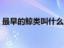 最早的鲸类叫什么动物（最早的鲸类叫什么）