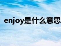 enjoy是什么意思翻译（enjoy是什么意思）