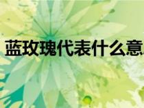 蓝玫瑰代表什么意思（黄玫瑰代表什么意思）
