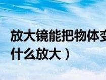 放大镜能把物体变大对吗（放大镜能把物体的什么放大）