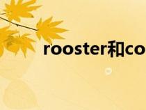 rooster和cock的区别（rooster）
