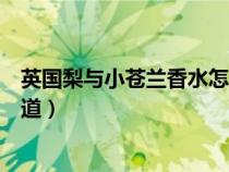 英国梨与小苍兰香水怎么样（英国梨与小苍兰香水是什么味道）