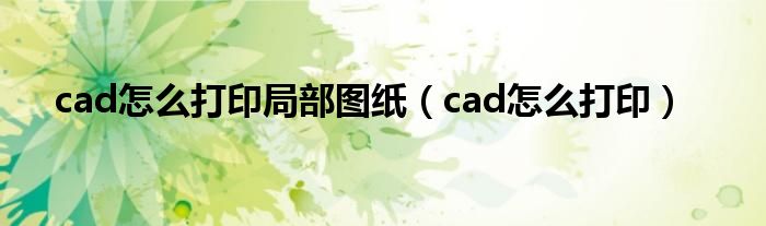 cad怎么打印局部图纸（cad怎么打印）