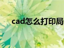 cad怎么打印局部图纸（cad怎么打印）