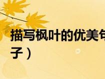 描写枫叶的优美句子短句（描写枫叶的优美句子）
