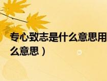 专心致志是什么意思用具体的情景表现出来（专心致志是什么意思）