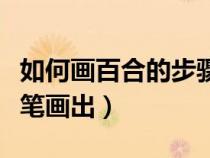 如何画百合的步骤图解（怎么画百合？简单几笔画出）
