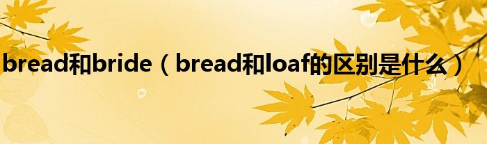 bread和bride（bread和loaf的区别是什么）