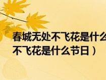 春城无处不飞花是什么节日?节日期间不能什么（春城无处不飞花是什么节日）