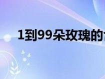 1到99朵玫瑰的含义（玫瑰数量的含义）