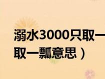 溺水3000只取一瓢饮的下一句（溺水三千只取一瓢意思）