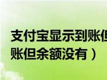 支付宝显示到账但余额没有钱（支付宝显示到账但余额没有）