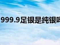 999.9足银是纯银吗（999.9足银是什么意思）