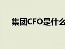 集团CFO是什么职位（cfo是什么职位）