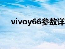 vivoy66参数详细（vivoy66手机参数）