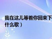 我在这儿等着你回来下句歌词是什么（我在这儿等着你回来什么歌）