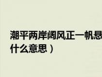 潮平两岸阔风正一帆悬意思150字（潮平两岸阔风正一帆悬什么意思）