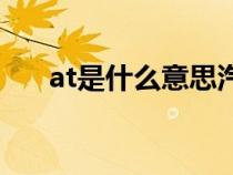 at是什么意思汽车（nt和at是什么车）
