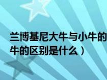 兰博基尼大牛与小牛的区别是什么意思（兰博基尼大牛与小牛的区别是什么）