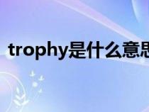 trophy是什么意思（汽车trophy什么意思）