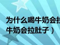 为什么喝牛奶会拉肚子喝羊奶不会（为什么喝牛奶会拉肚子）