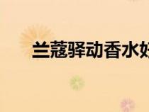 兰蔻驿动香水好闻吗（兰蔻驿动香水）