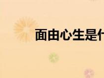 面由心生是什么意思（面由心生）