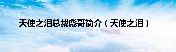 天使之泪总裁彪哥简介（天使之泪）