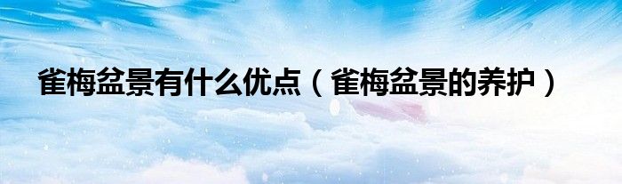 雀梅盆景有什么优点（雀梅盆景的养护）