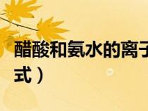 醋酸和氨水的离子反应方程式（离子反应方程式）