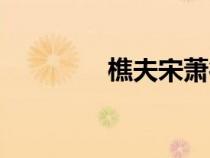 樵夫宋萧德藻古诗（樵夫）