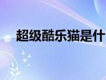 超级酷乐猫是什么品种猫（超级酷乐猫）