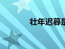 壮年迟暮是什么意思（壮年）
