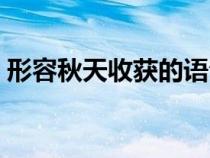 形容秋天收获的语句（形容秋天收获的句子）