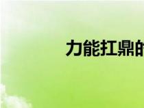 力能扛鼎的意思（力能扛鼎）