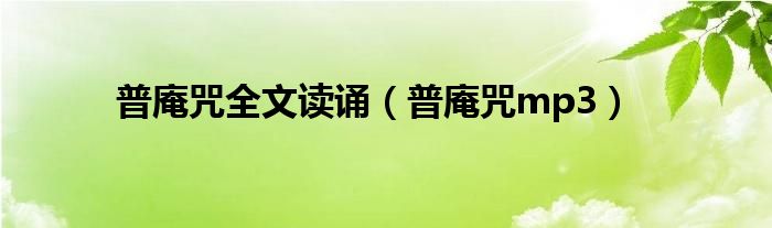 普庵咒全文读诵（普庵咒mp3）